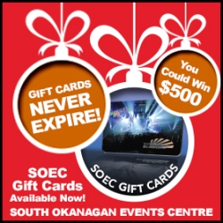 This Holiday Season, Give the Gift of Entertainment!